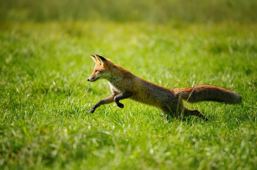 Il Podere La Casina モンスンマーノ・テルメ エクステリア 写真