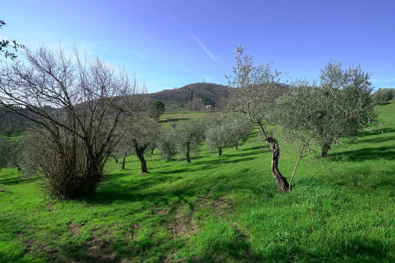 Il Podere La Casina モンスンマーノ・テルメ エクステリア 写真