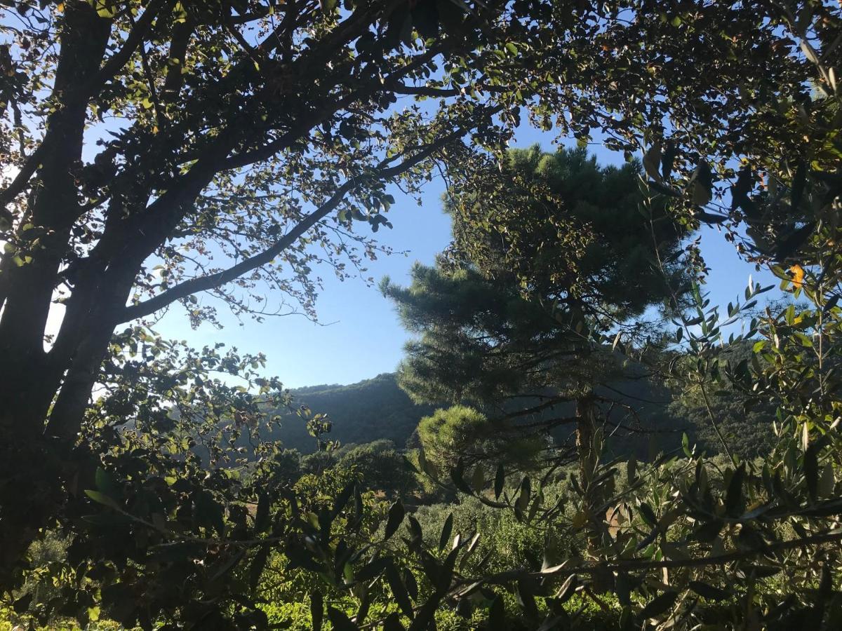 Il Podere La Casina モンスンマーノ・テルメ エクステリア 写真