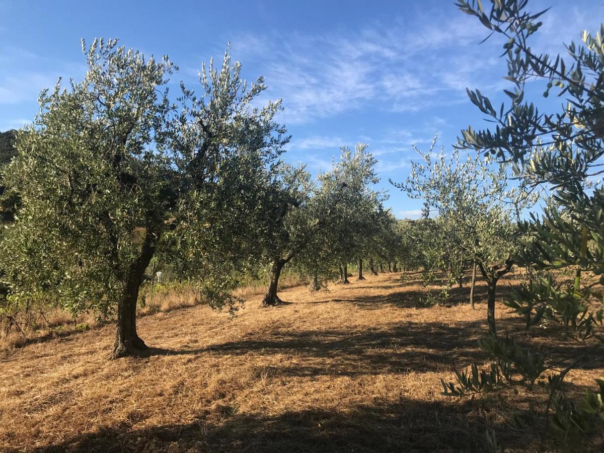 Il Podere La Casina モンスンマーノ・テルメ エクステリア 写真