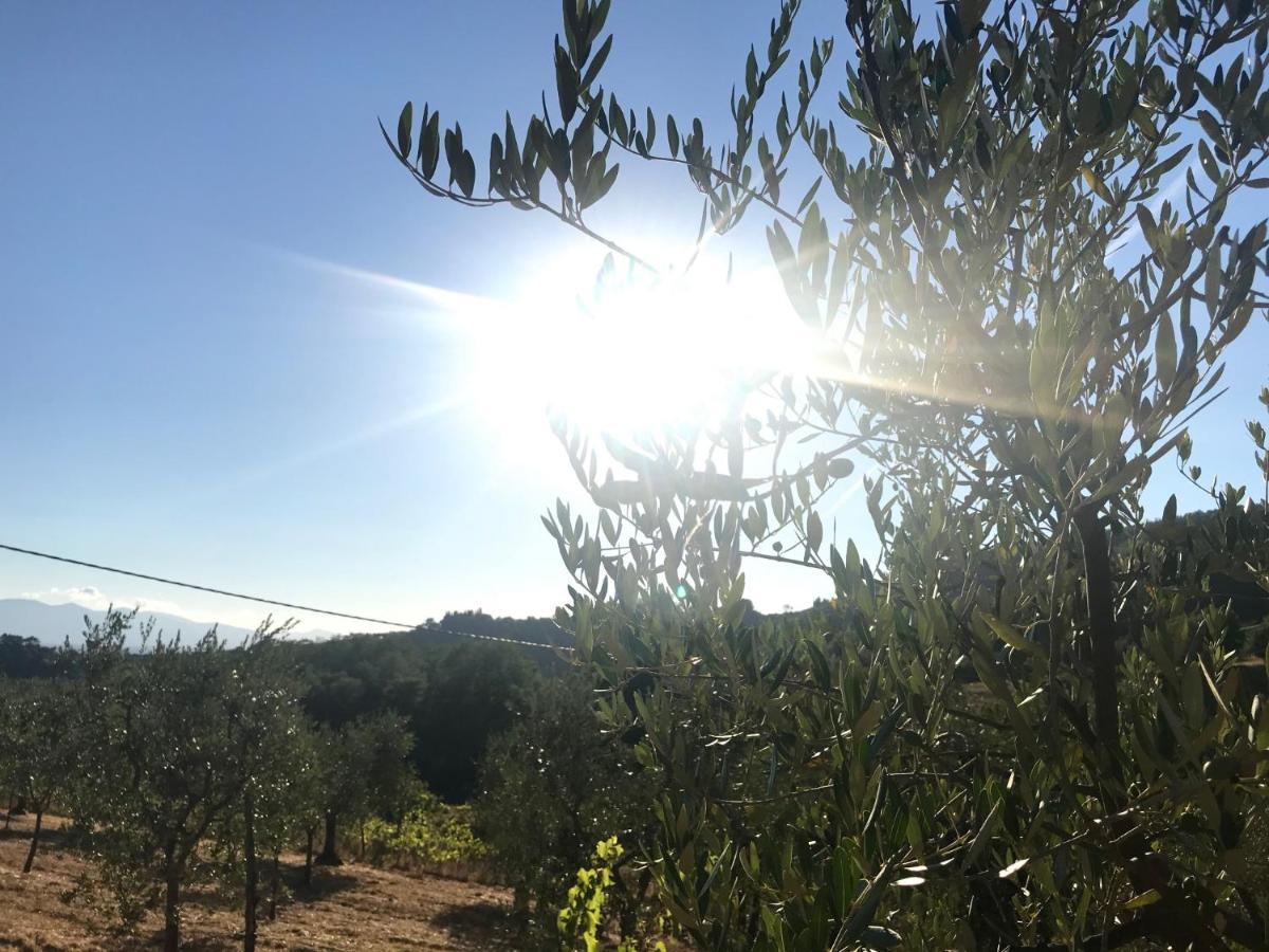 Il Podere La Casina モンスンマーノ・テルメ エクステリア 写真