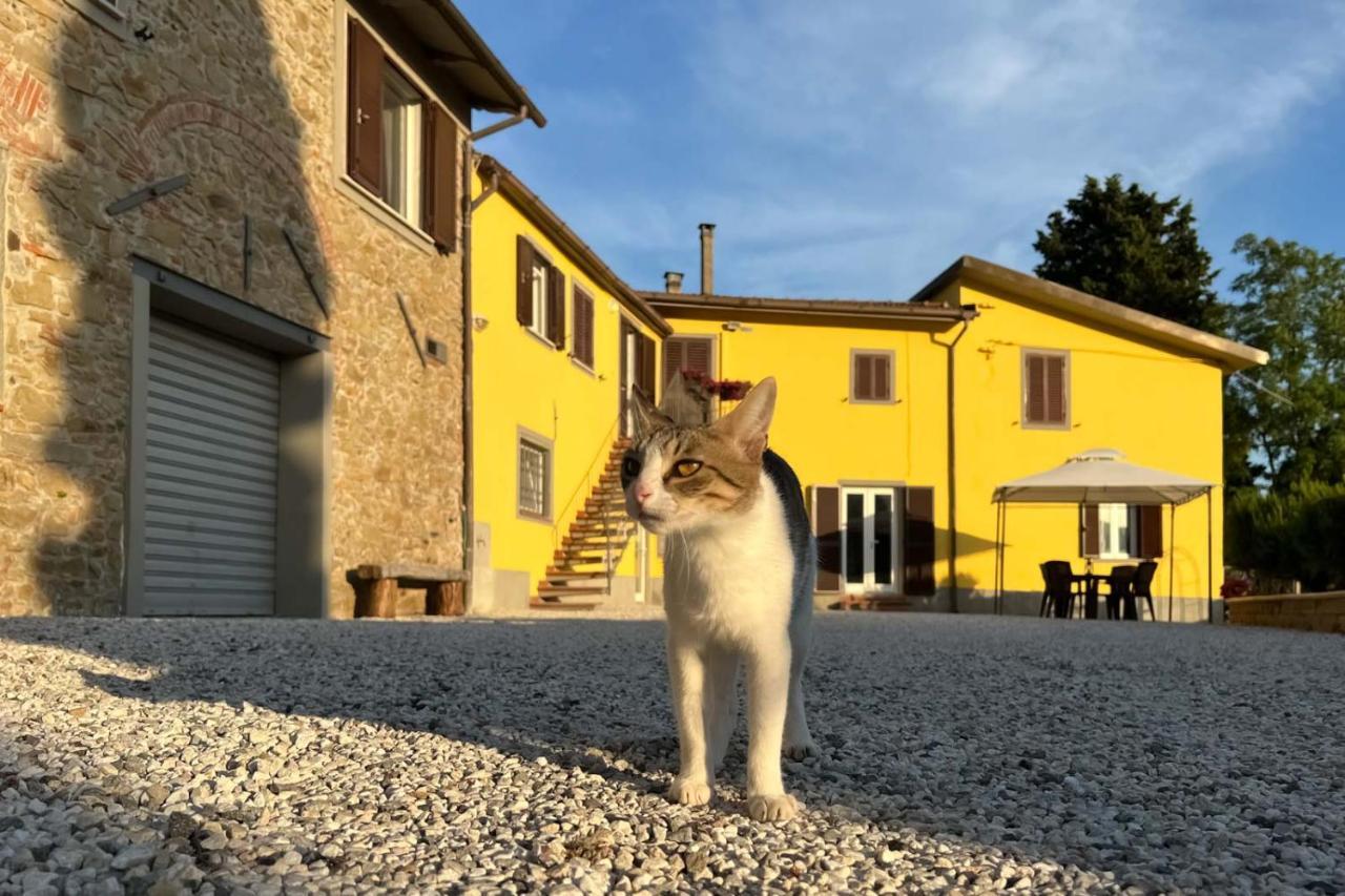 Il Podere La Casina モンスンマーノ・テルメ エクステリア 写真